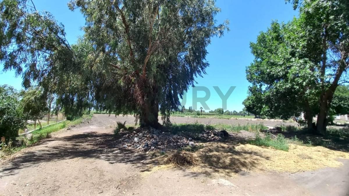 Foto de finca , rodeo de la cruz , km8, imagen 3
