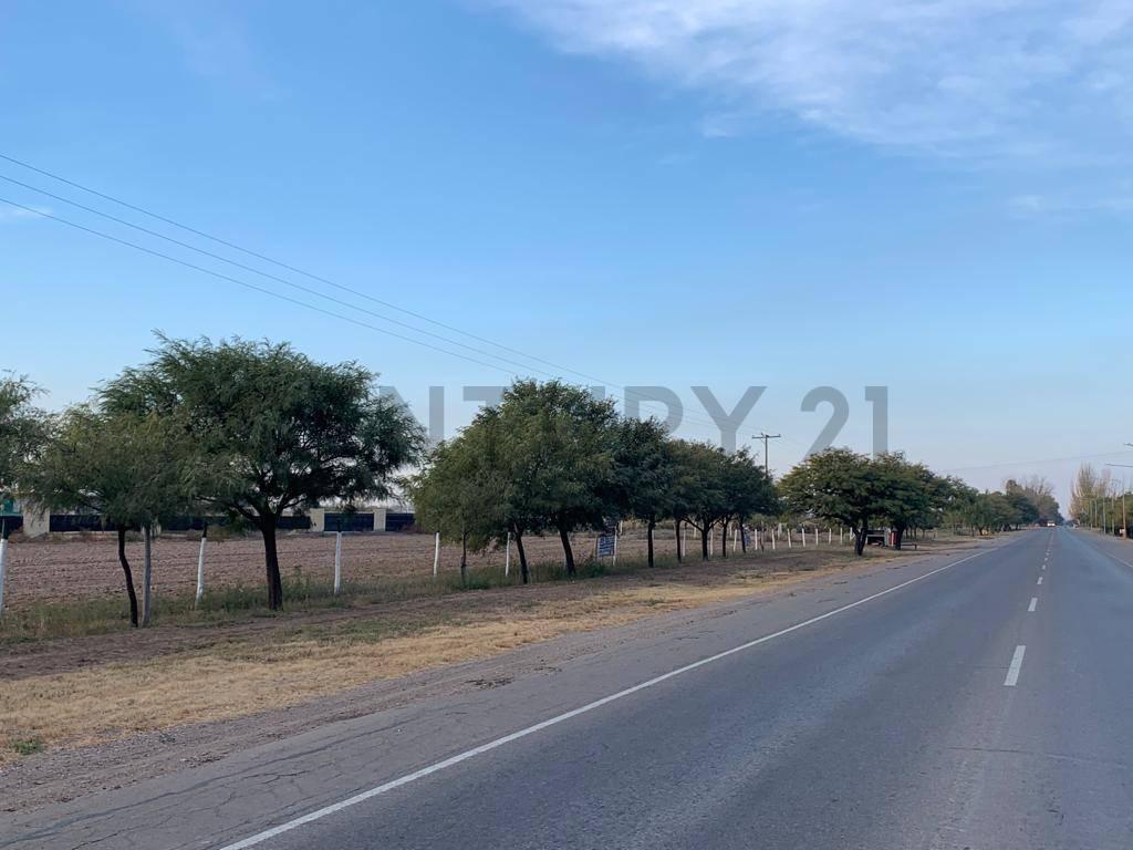Lotes en Venta Sobre Ruta 34 a m de Ruta 40 en Lavalle Mendoza en Barrio Altos Cordilleranos. 5