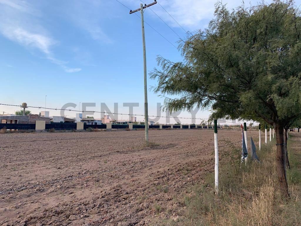 Lotes en Venta Sobre Ruta 34 a m de Ruta 40 en Lavalle Mendoza en Barrio Altos Cordilleranos. 4
