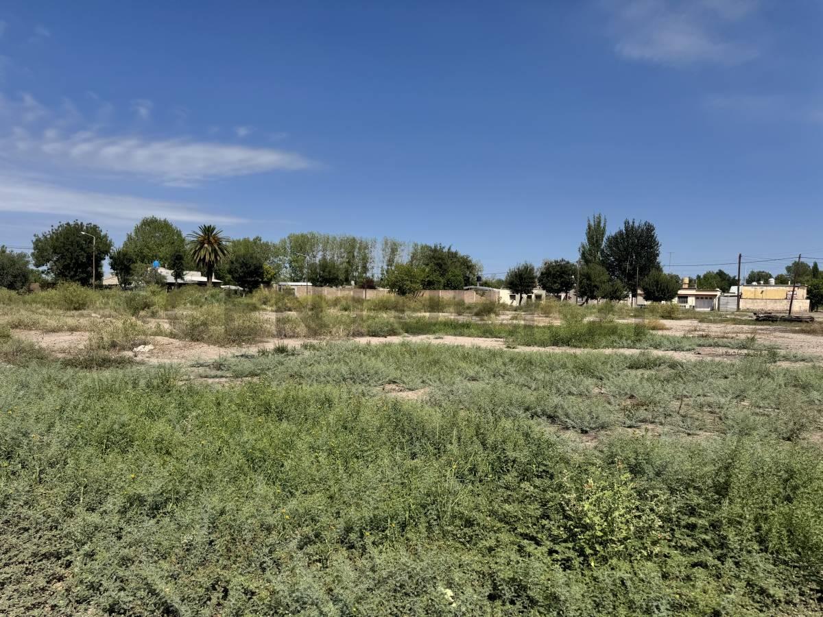 Lotes en Venta en San Martin 4