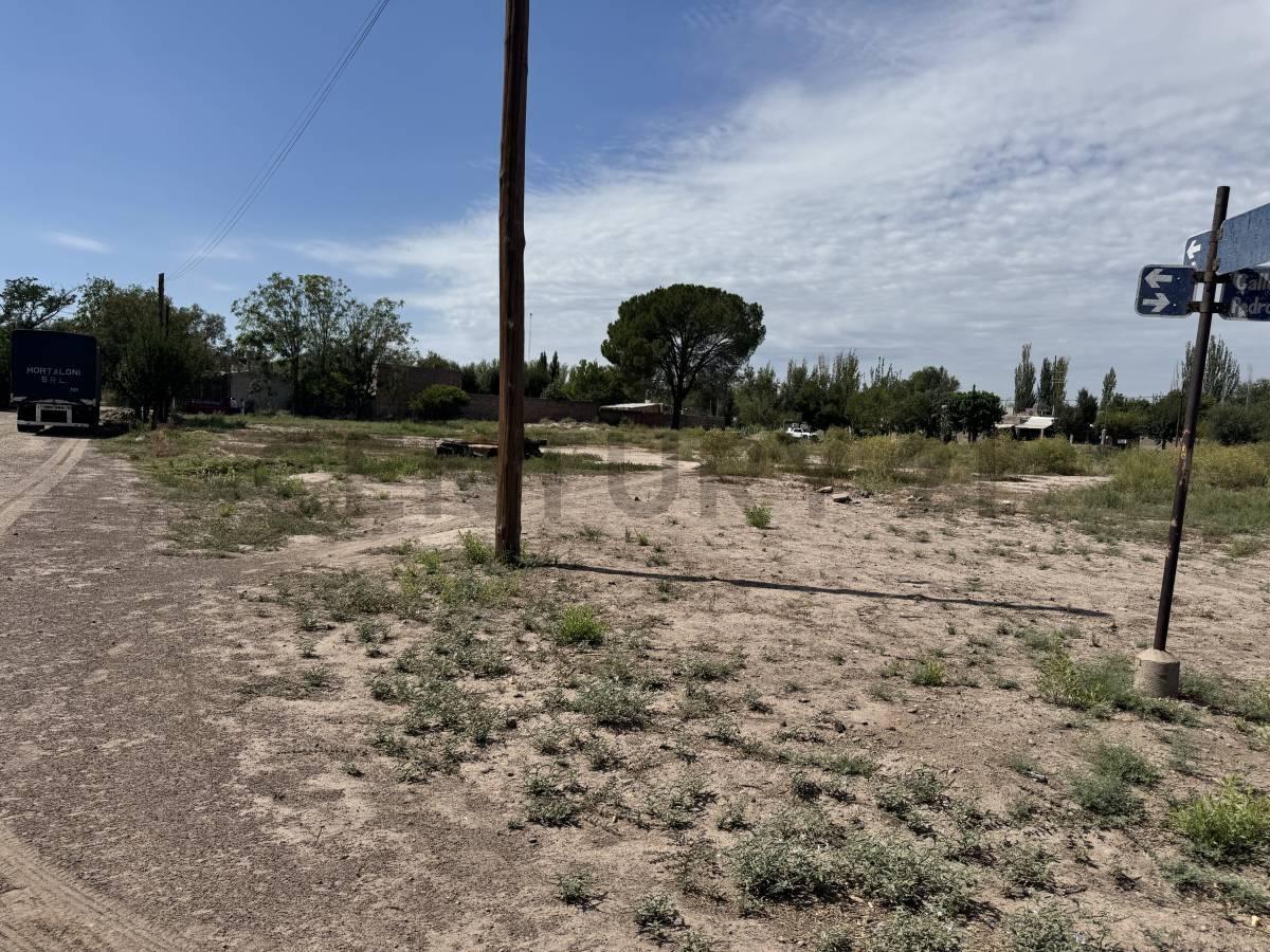 Lotes en Venta en San Martin 3