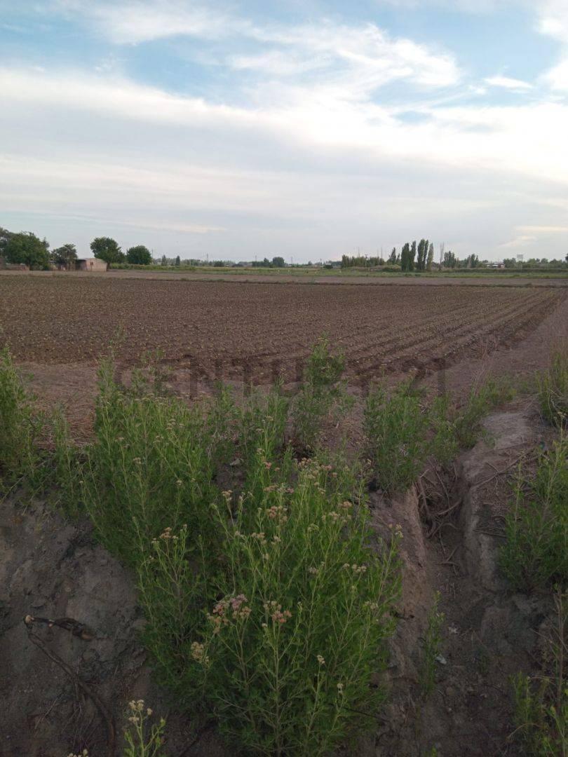 Venta de Finca en Km8 de Rodeo de La Cruz, Guaymallén 3