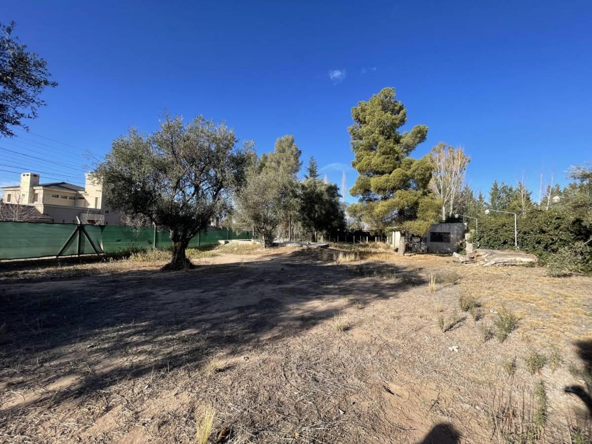Lote en Venta 3
