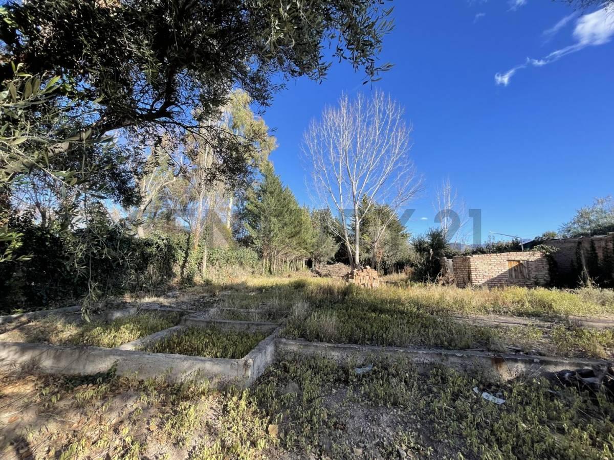 Lote en Venta 4