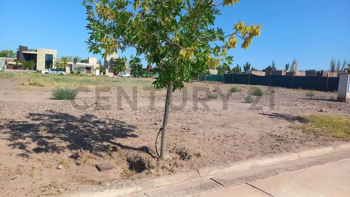 Venta de Lote en Maipú, Mendoza 5