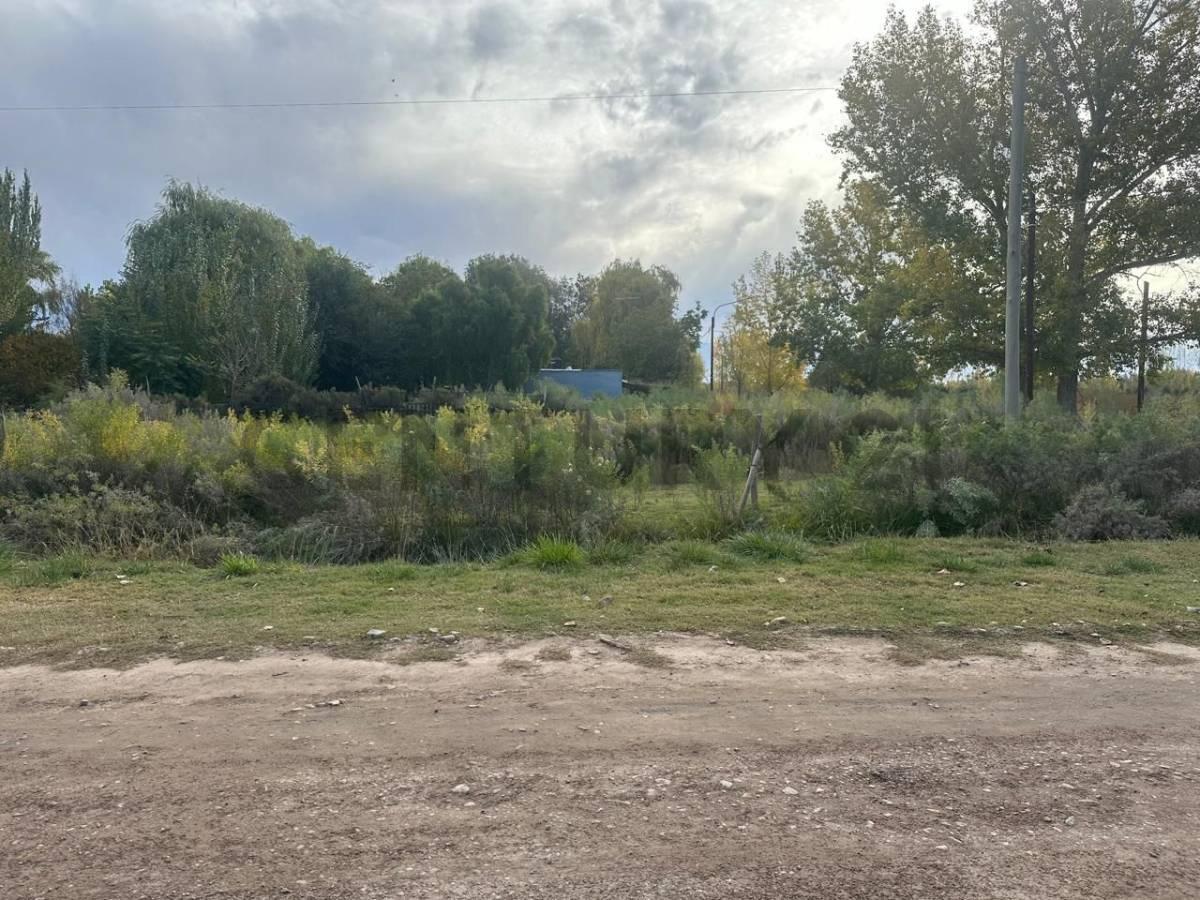 Lote en Venta 1