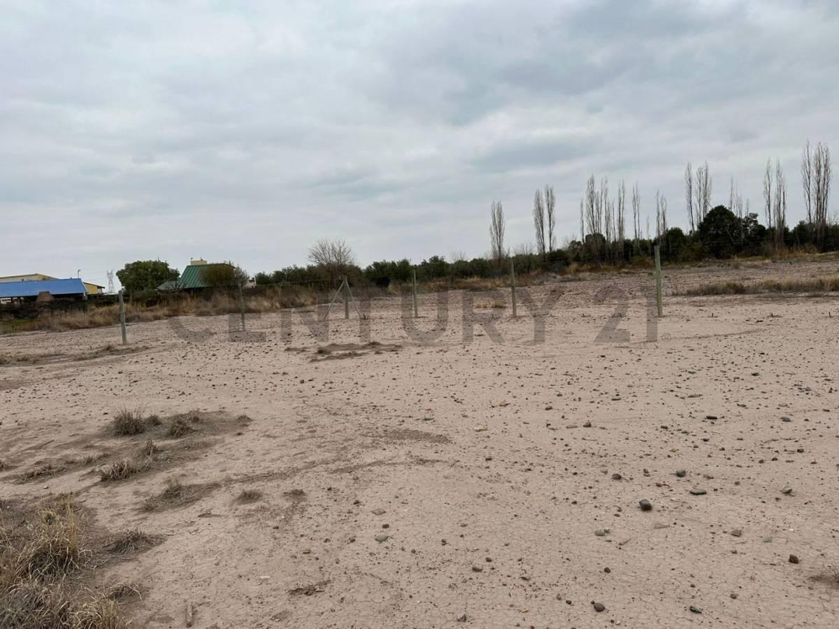 Lote en Venta. Coquimbito. Maipú. Mendoza. 1