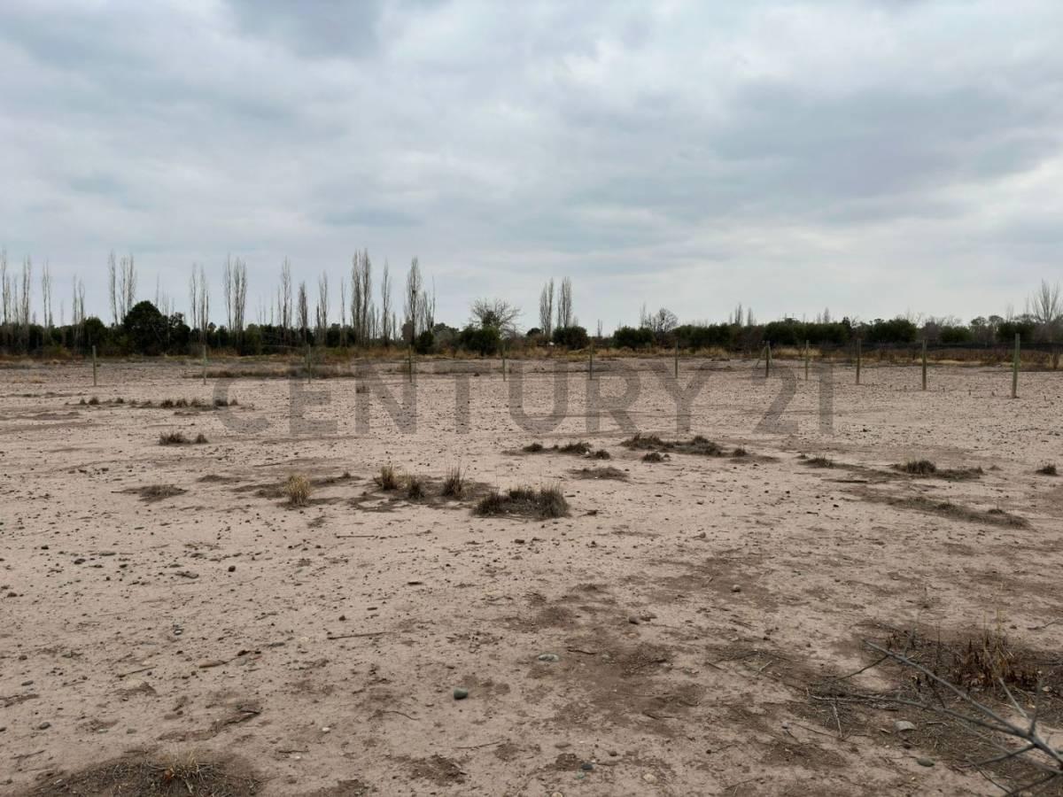 Lote en Venta. Coquimbito. Maipú. Mendoza. 2