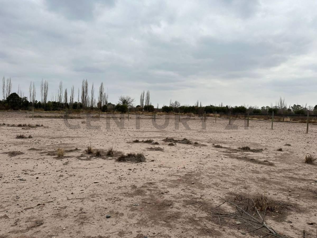 Lote en Venta. Coquimbito. Maipú. Mendoza. 5