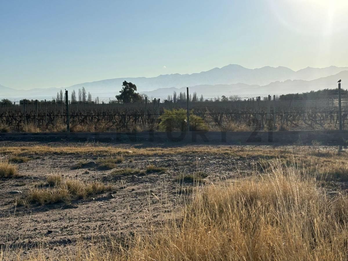 Lote en Venta 3