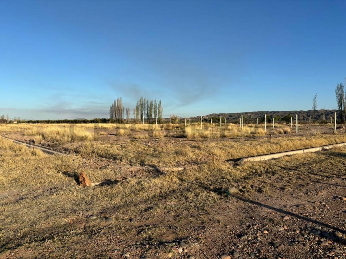 Lote en Venta 1