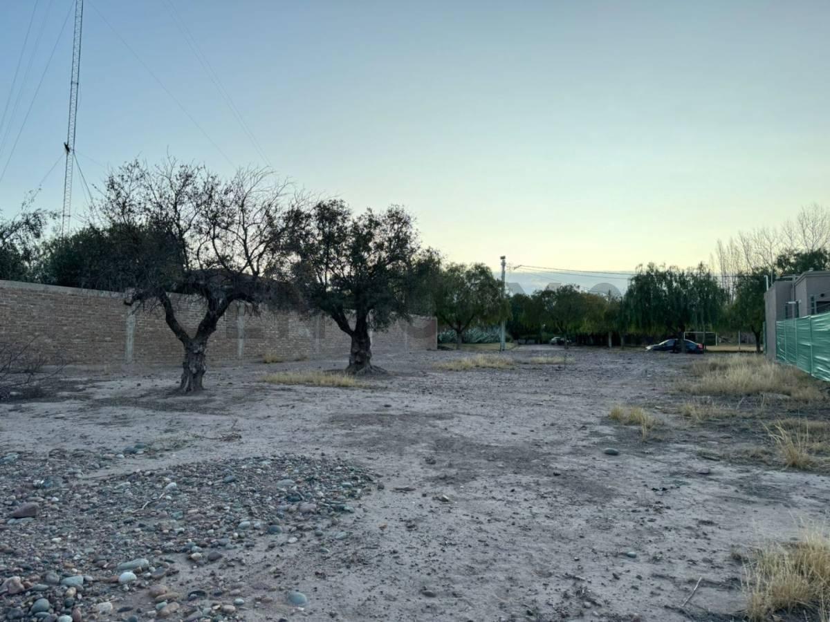 Lote en Venta 5