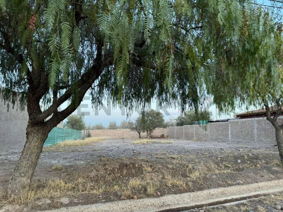 Lote en Venta 3