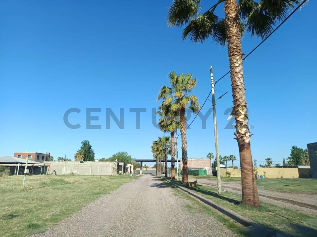 venta de Lote en Arauco 3, Corralitos, Guaymallén 4