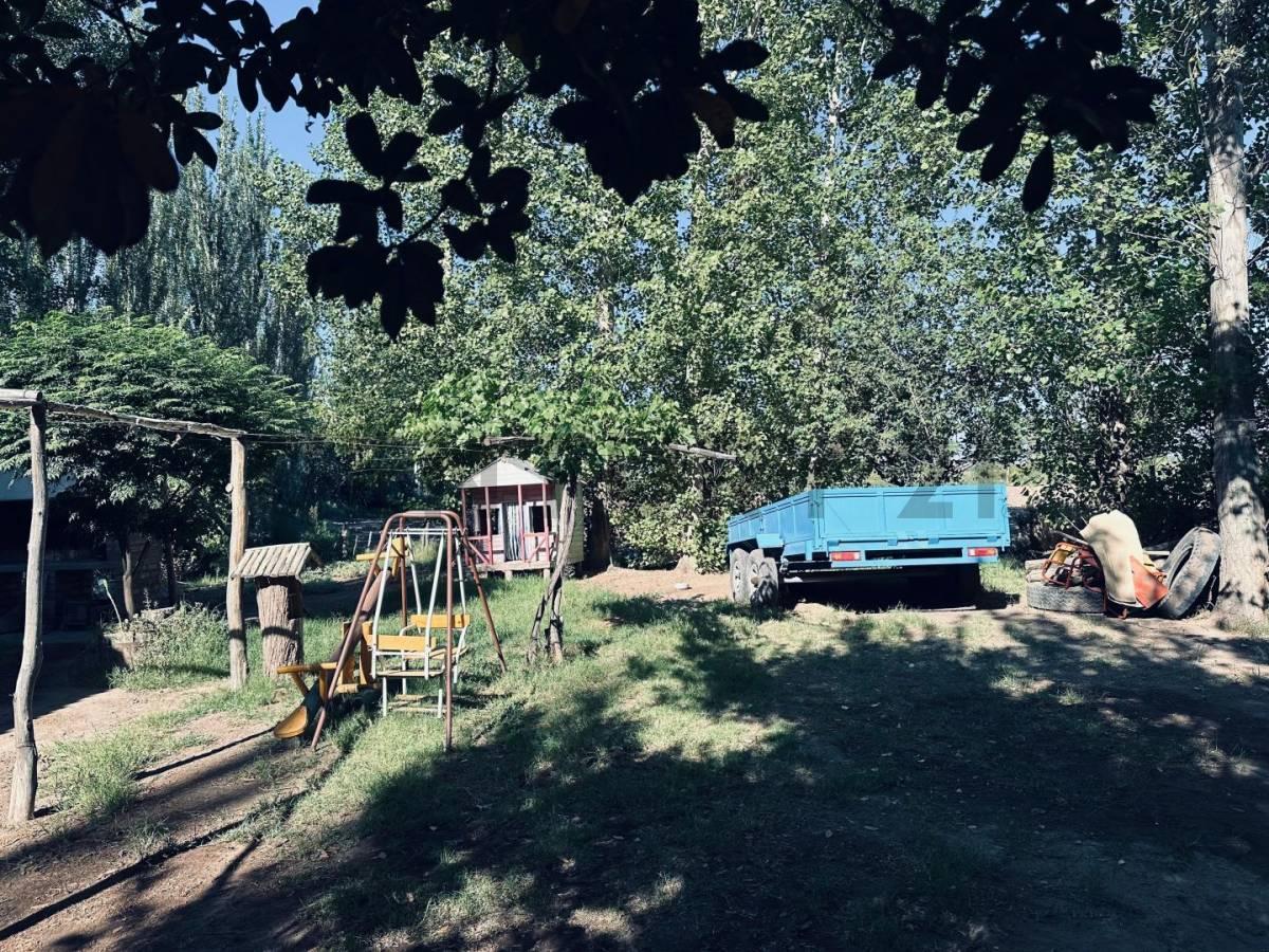 Foto de Finca en Venta en Lavalle, Mendoza., imagen 5