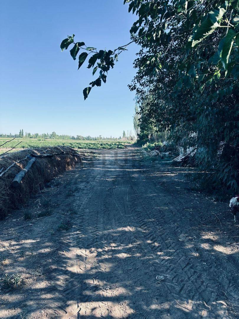 Foto de Finca en Venta en Lavalle, Mendoza., imagen 2