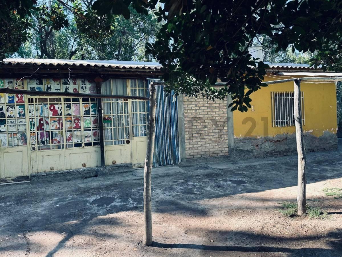 Foto de Finca en Venta en Lavalle, Mendoza., imagen 4