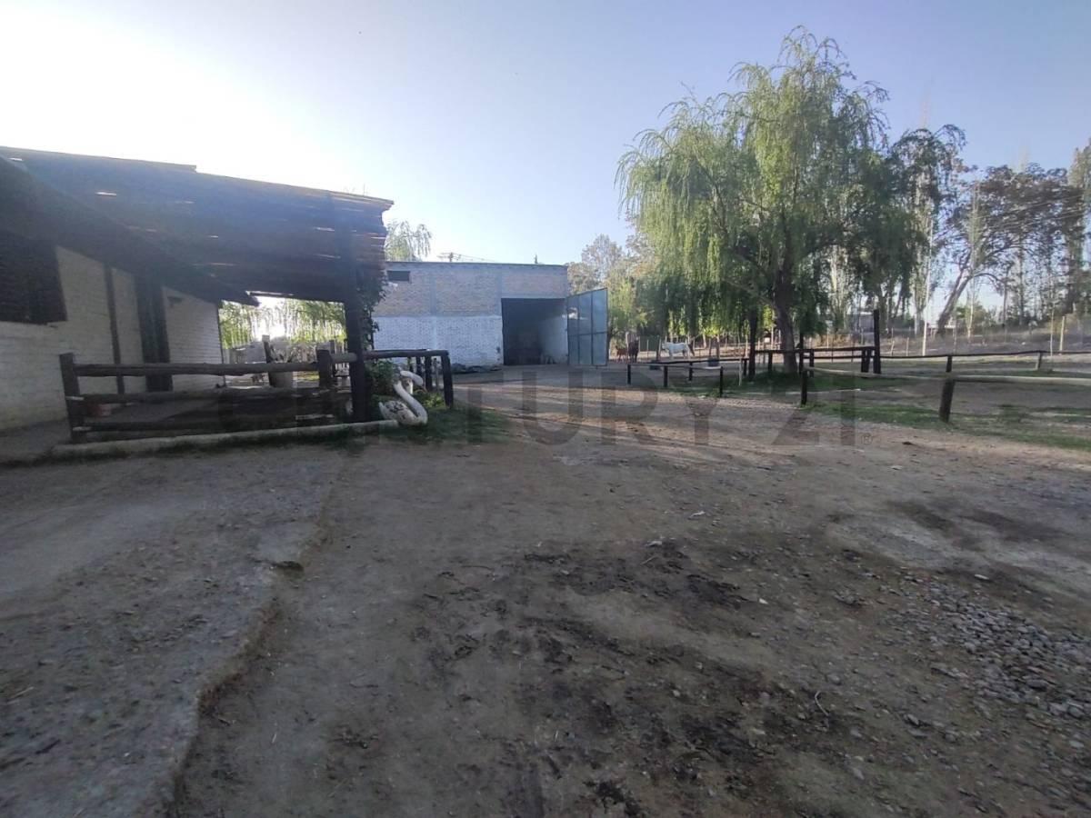 Se Vende Finca en San Martín, Mendoza 5