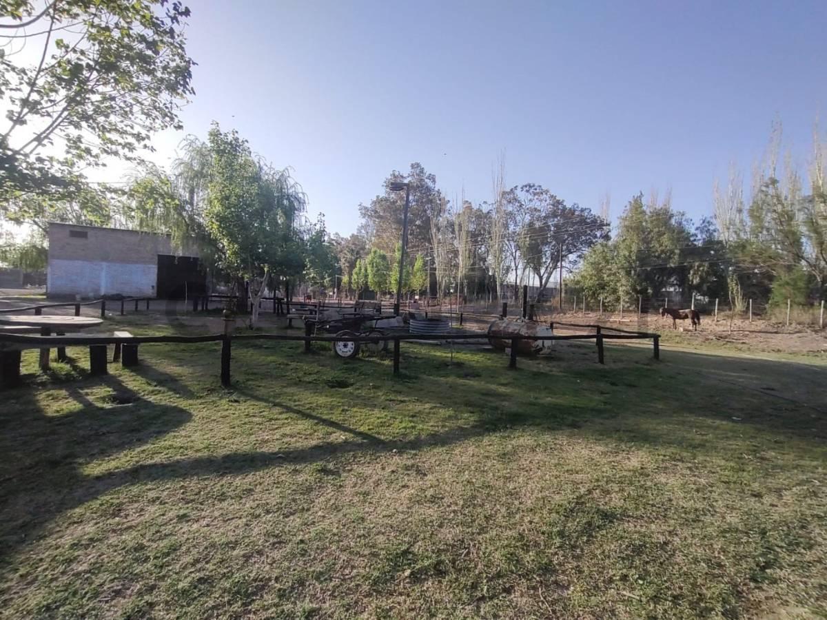 Se Vende Finca en San Martín, Mendoza 4