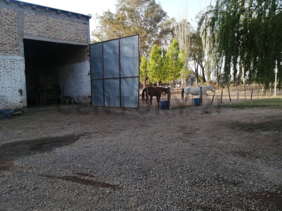 Se Vende Finca en San Martín, Mendoza 2