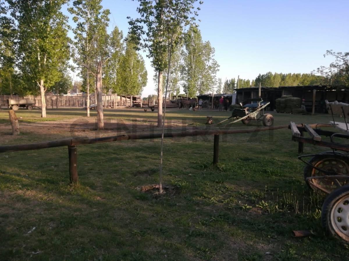 Se Vende Finca en San Martín, Mendoza 3