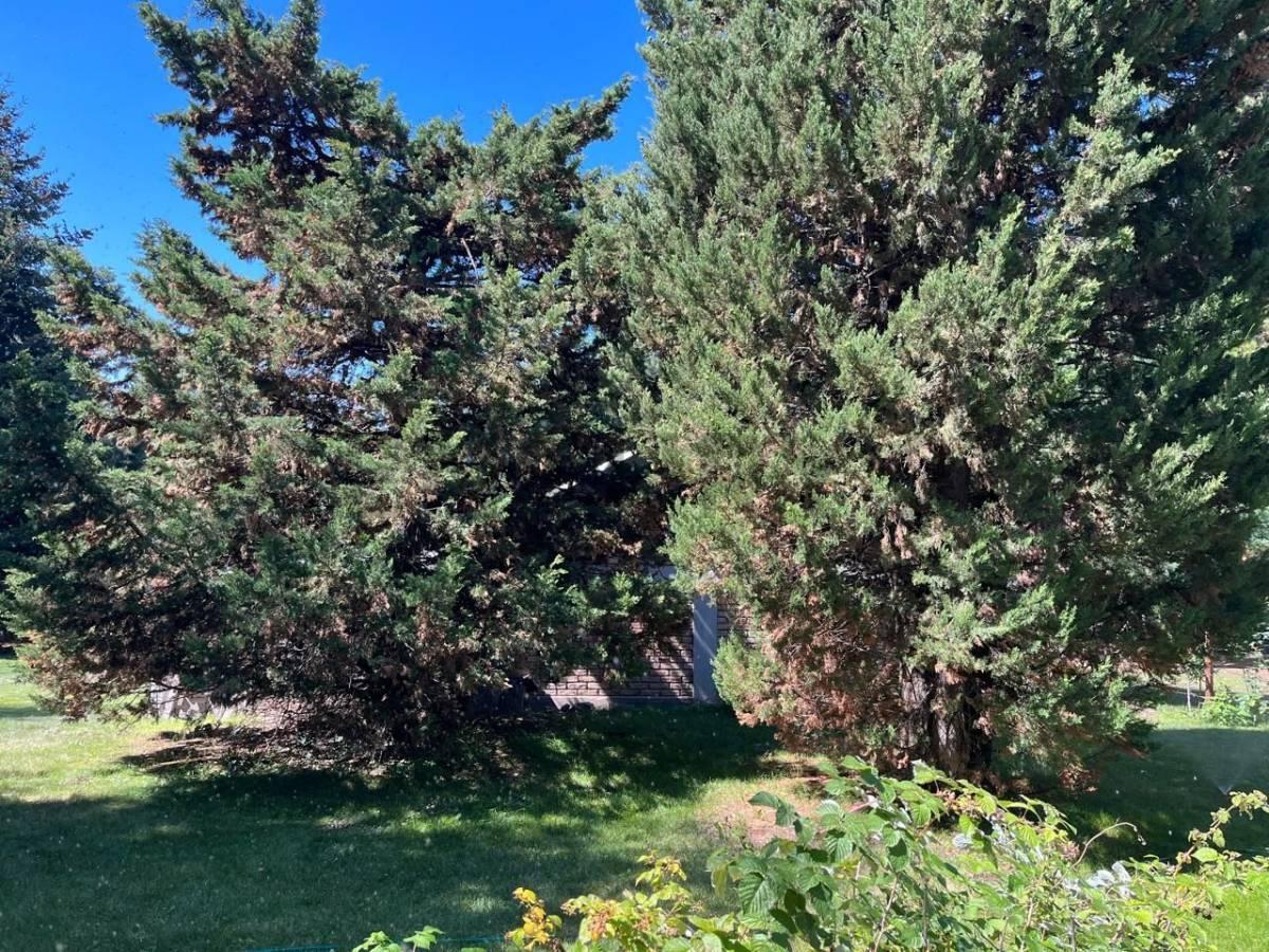 Venta Casa en Valle del Sol con Gran Terreno Parquizado 5