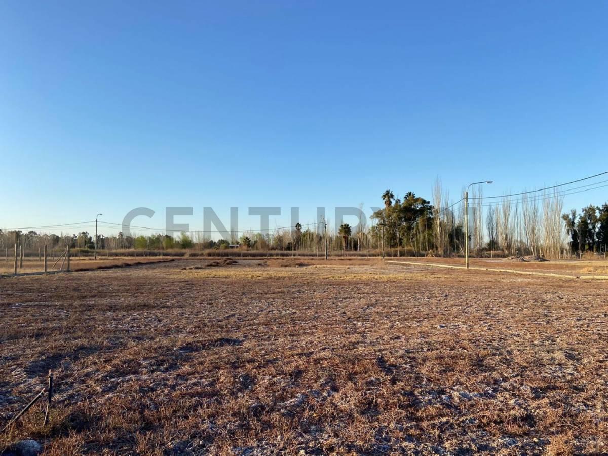 Lote en Venta 1