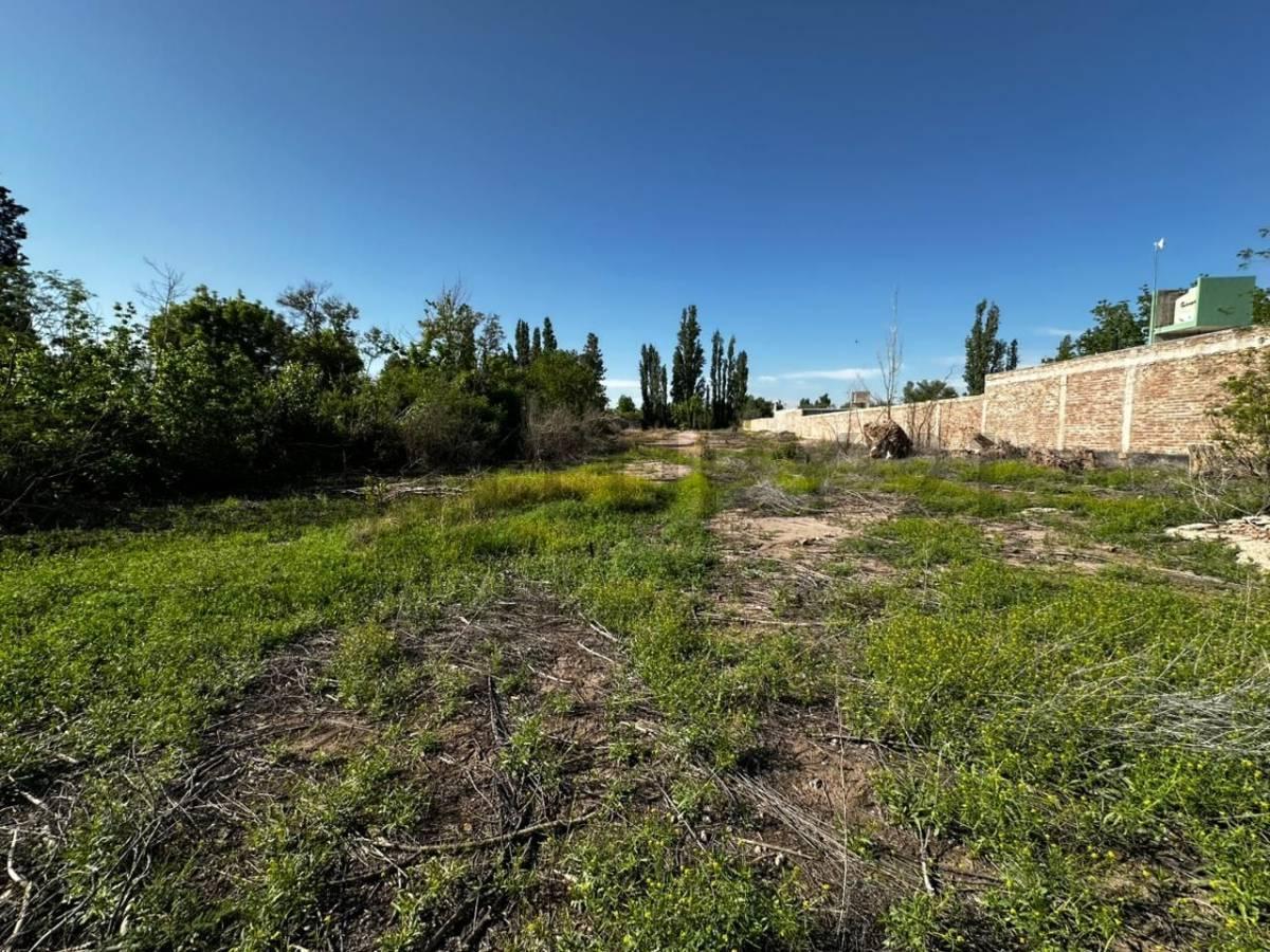 Lote en venta