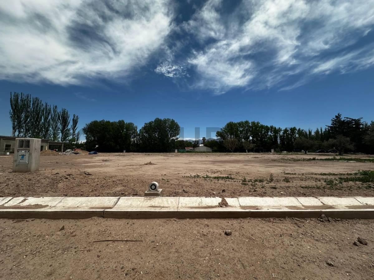 Lote en Venta 1