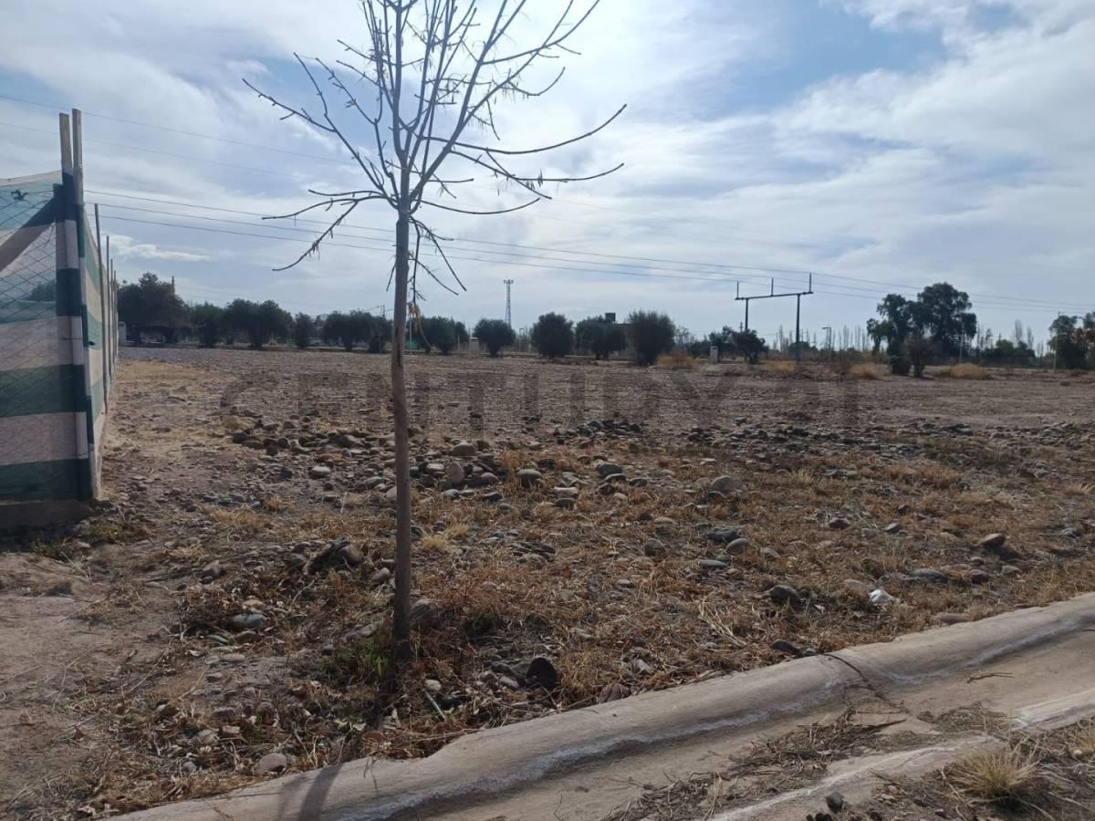 Lote en Venta 5