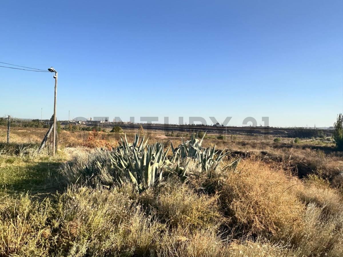 Terreno en Venta en Lujan de Cuyo 3