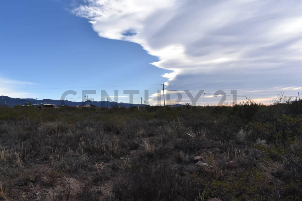 Terreno en Venta B° La Magdalena Olivar 2