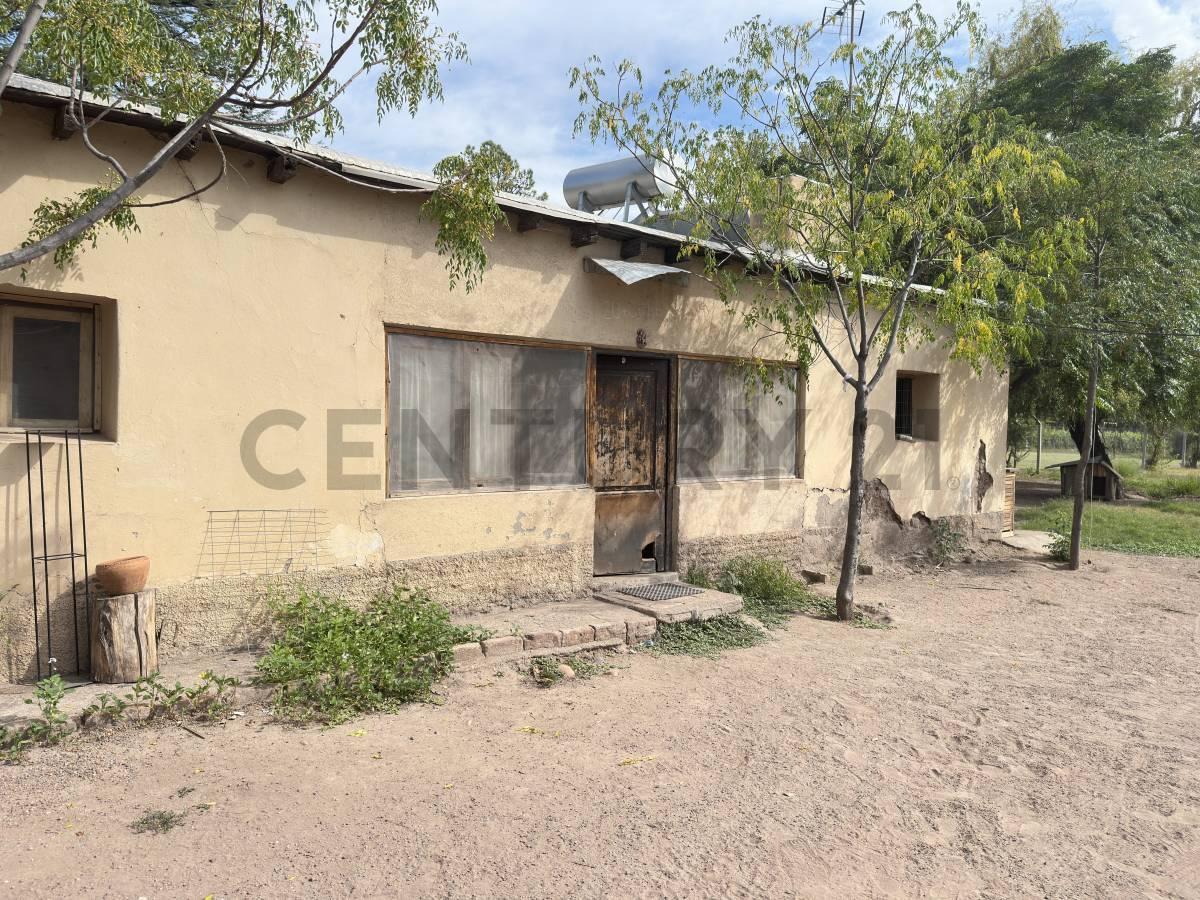 Venta de Finca. Maipú. Mendoza. 5