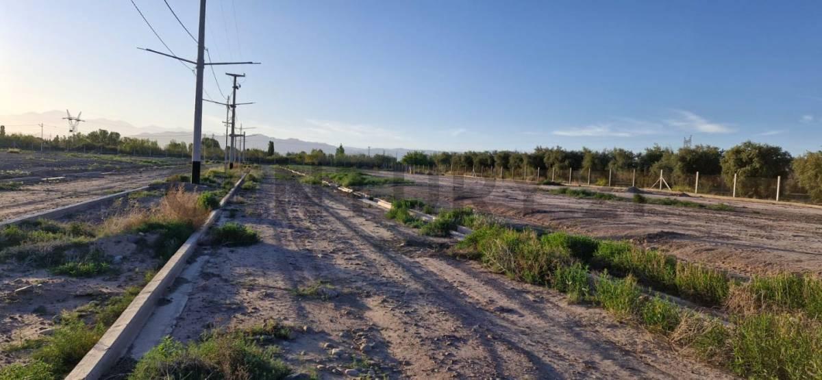 Lote en Venta 1