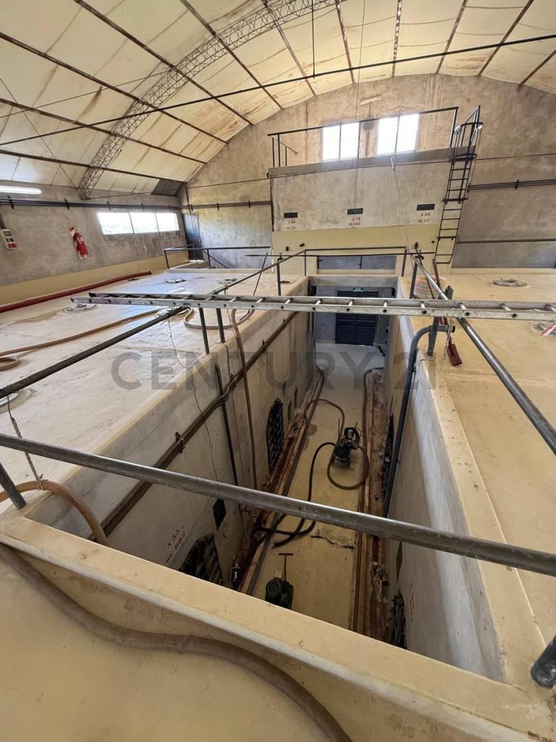 Finca y Bodega en Venta en Rivadavia 1