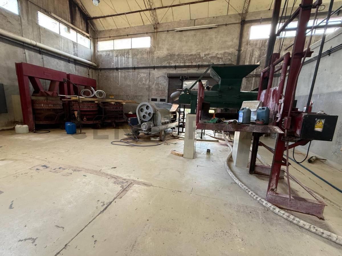 Finca y Bodega en Venta en Rivadavia 3