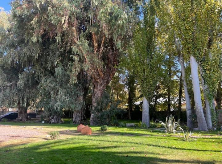 CASONA EN VENTA SAN MARTIN - JUNIN 2