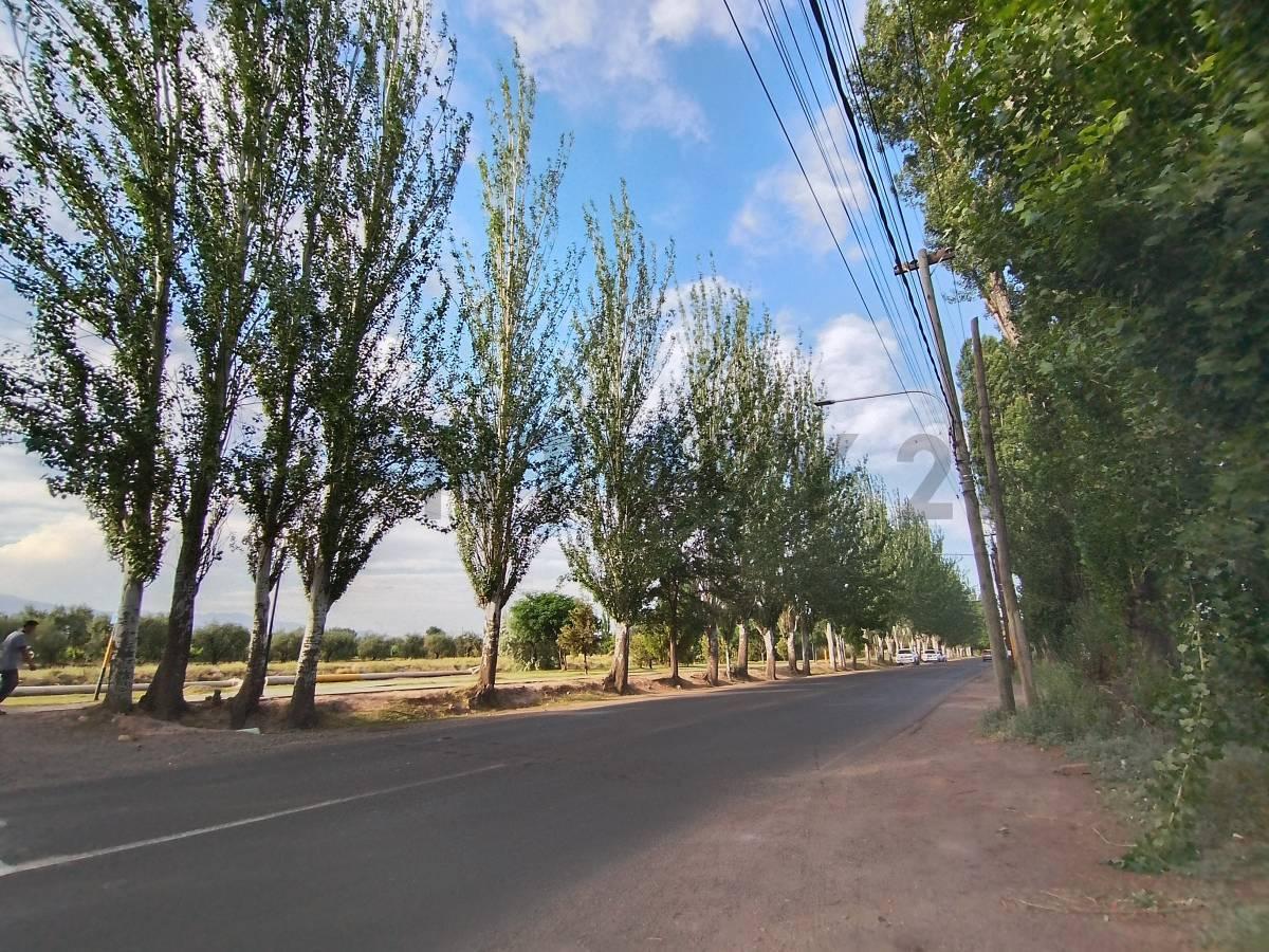 Century 21 vende galpón comercial, industrial y vivienda