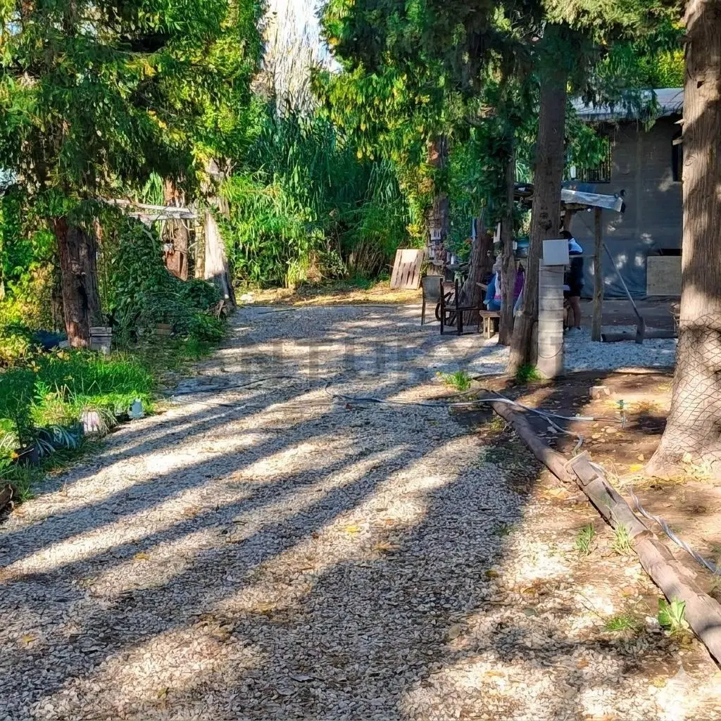 Venta terreno forestado Las Compuertas 2