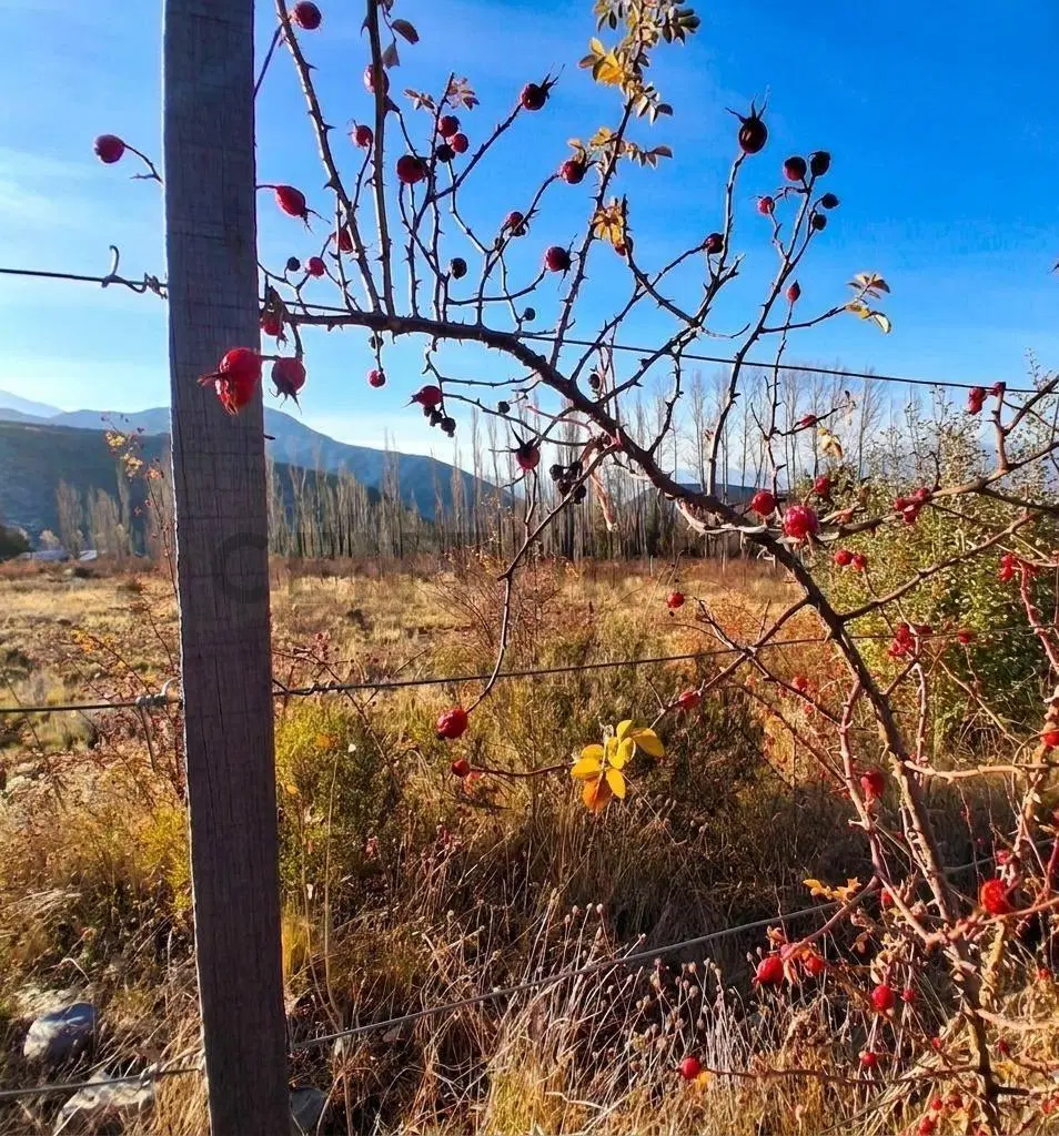 Lote en Venta Potrerillos, Mendoza 5