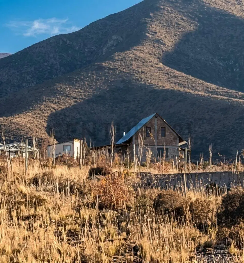 Lote en Venta Potrerillos, Mendoza 4
