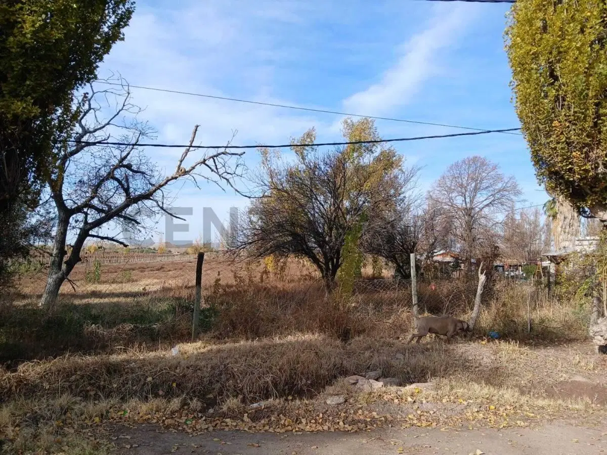 Venta Terreno en Perdriel, Luján de Cuyo 6