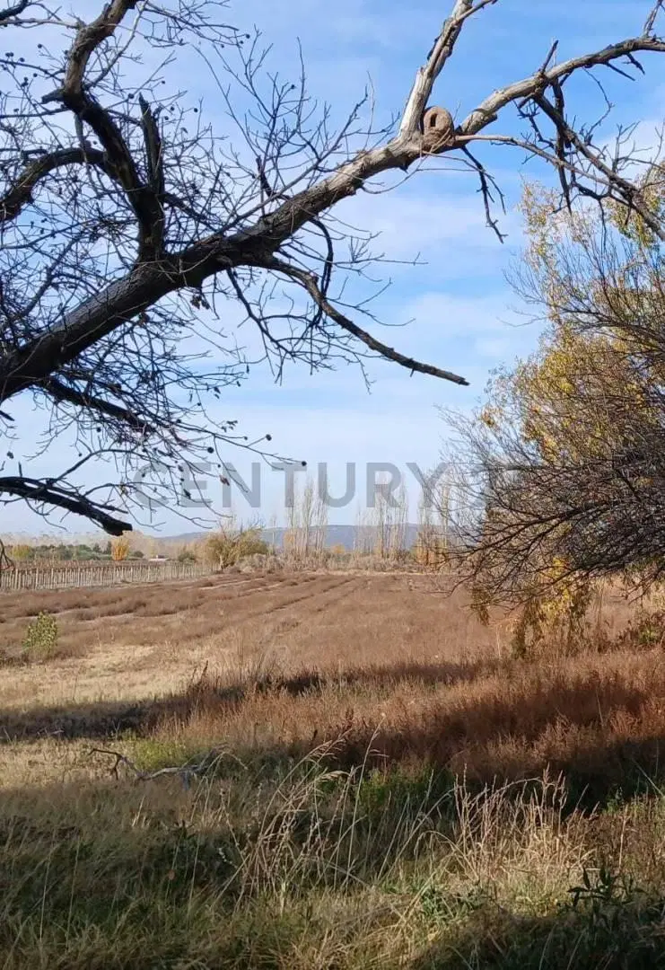 Venta Terreno en Perdriel, Luján de Cuyo 2