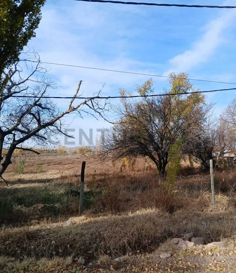 Venta Terreno en Perdriel, Luján de Cuyo 3