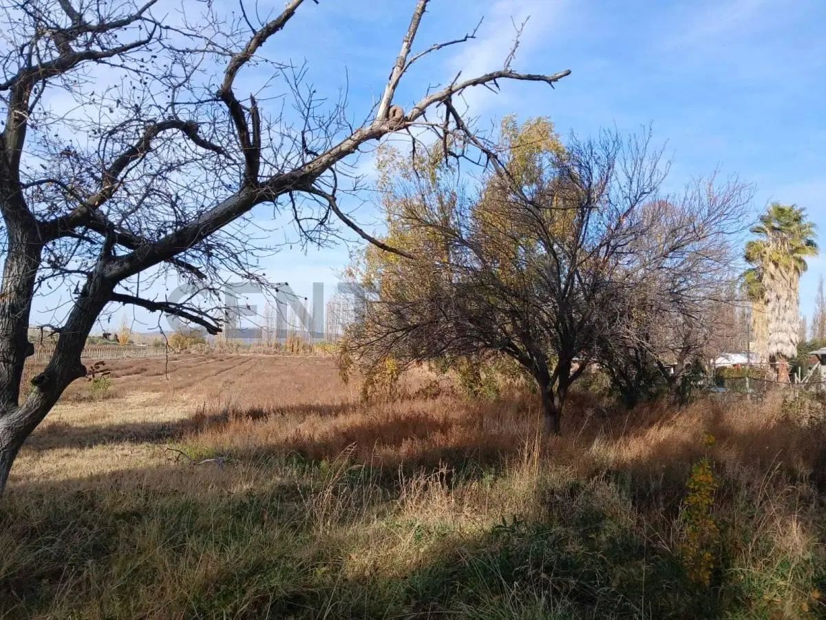 Venta Terreno en Perdriel, Luján de Cuyo 5
