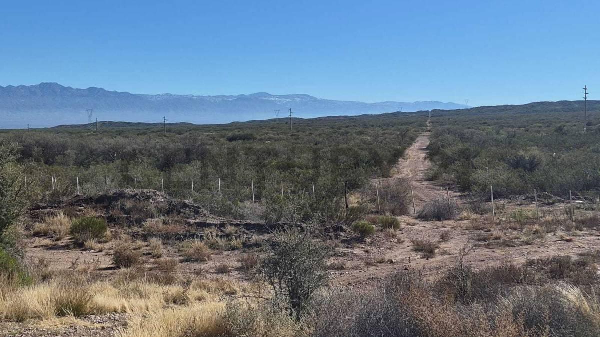 Foto de VENTA TERRENO RUTA NACIONAL 7 VARIANTE PALMIRA (LUJAN DE CUYO)., imagen 3