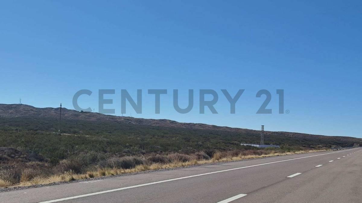 Foto de VENTA TERRENO RUTA NACIONAL 7 VARIANTE PALMIRA (LUJAN DE CUYO)., imagen 4