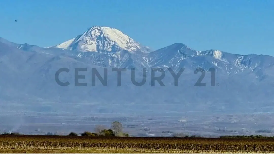 Century 21 López vende Lote en Barrio Privado Tupungato Valley, Valle de Uco, Mendoza 3