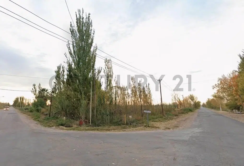 VENTA TERRENO 2H - IDEAL CULTIVO 3