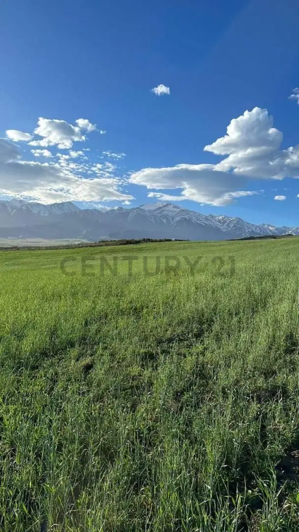Century 21 López vende 3 propiedades en El Durazno, La Carrera, Tupungato, Valle de Uco 8